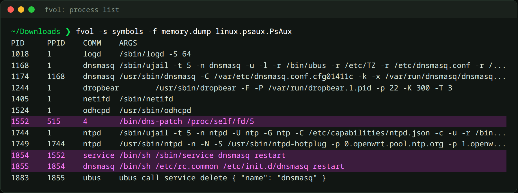 fvol process list with the dns-patch process highlighted